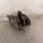 Etrier arriere droit (freinage) CITROEN C4 PICASSO 1