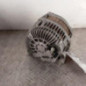 Alternateur RENAULT SCENIC 3