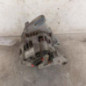 Alternateur RENAULT CLIO 2