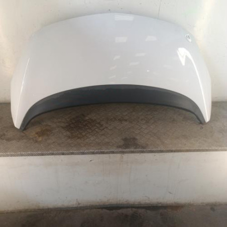 Capot OPEL MERIVA B Photo n°1