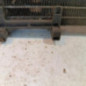 Radiateur clim CITROEN C4 GRAND PICASSO 1