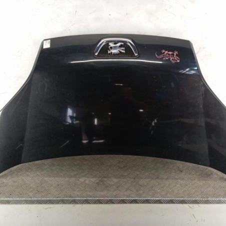 Capot PEUGEOT BIPPER Photo n°1