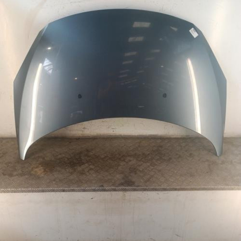 Capot PEUGEOT 307 Capot PEUGEOT 307