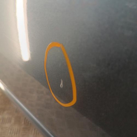Porte avant gauche PEUGEOT 307