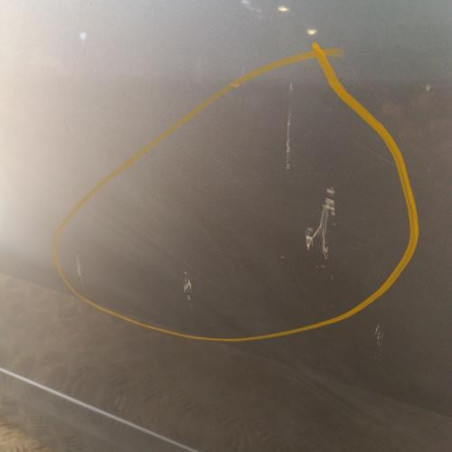 Porte avant gauche RENAULT SCENIC 3