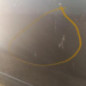 Porte avant gauche RENAULT SCENIC 3