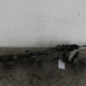 Cremaillere assistee DACIA SANDERO 2