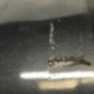 Pare choc arriere AUDI A4 3