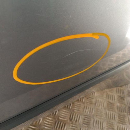 Porte arriere gauche BMW X5 E70