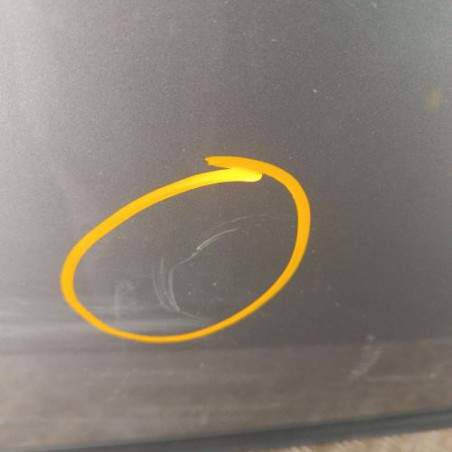 Porte avant gauche BMW X5 E70