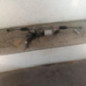 Cremaillere assistee OPEL ASTRA J