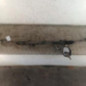 Cremaillere assistee FORD C-MAX 1