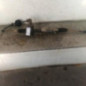 Cremaillere assistee PEUGEOT EXPERT 1