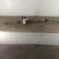 Cremaillere assistee RENAULT KANGOO 2