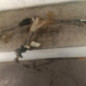 Cremaillere assistee FIAT DUCATO 3