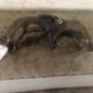 Support pivot avant gauche PEUGEOT 407