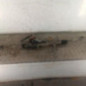 Cremaillere assistee PEUGEOT 206