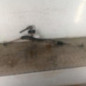 Cremaillere assistee PEUGEOT 206
