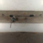 Cremaillere assistee RENAULT CLIO 4
