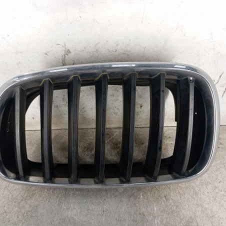 Calandre gauche BMW X5 E70 Photo n°1