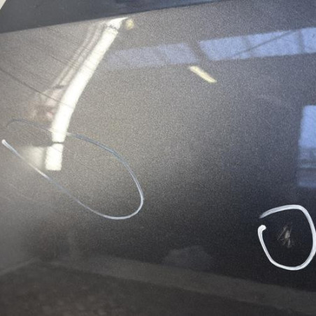 Porte arriere gauche VOLKSWAGEN POLO 5
