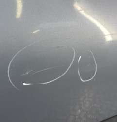 Porte avant gauche RENAULT CLIO 2