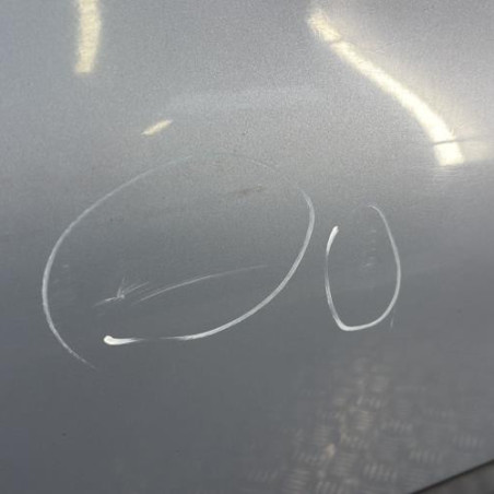 Porte avant gauche RENAULT CLIO 2