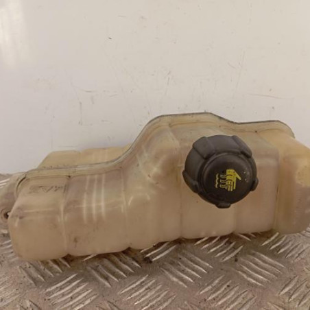 Vase d'expansion NISSAN JUKE 1 Photo n°1