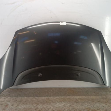 Capot FIAT 500L Photo n°1