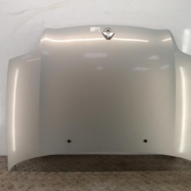 Capot RENAULT CLIO 2 Capot RENAULT CLIO 2