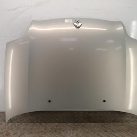 Capot RENAULT CLIO 2 Photo n°1