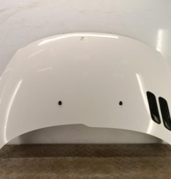 Capot PEUGEOT 206+ Photo n°1