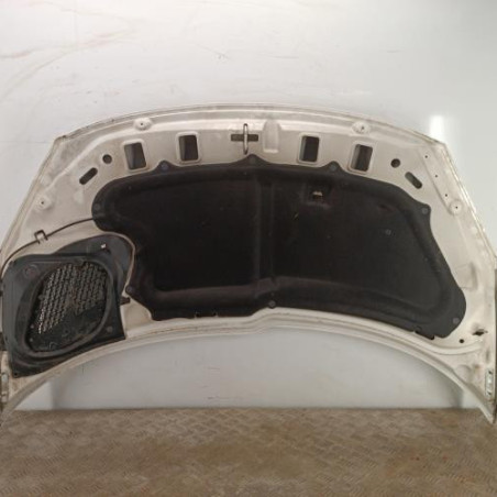 Capot PEUGEOT 206+