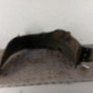 Pare boue avant gauche KIA RIO 3