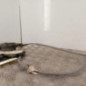 Serrure avant gauche VOLKSWAGEN GOLF 7