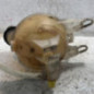 Vase d'expansion PEUGEOT 207