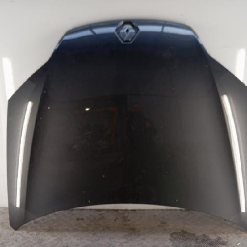 Capot RENAULT LAGUNA 3 Capot RENAULT LAGUNA 3