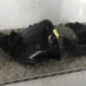 Pare boue avant gauche RENAULT CLIO 2 CAMPUS
