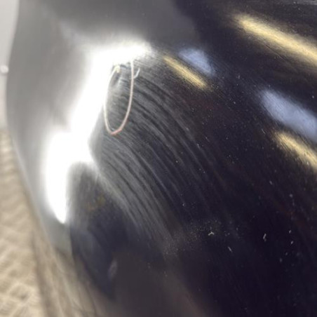 Porte arriere gauche CITROEN C4 2