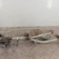 Moteur essuie glace avant RENAULT LAGUNA 3