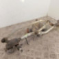 Moteur essuie glace avant RENAULT LAGUNA 3