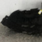 Pare boue avant gauche RENAULT SCENIC 3