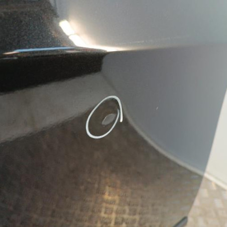Porte arriere droit BMW X5 E70