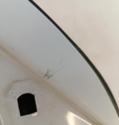 Porte avant droit VOLKSWAGEN CRAFTER 1