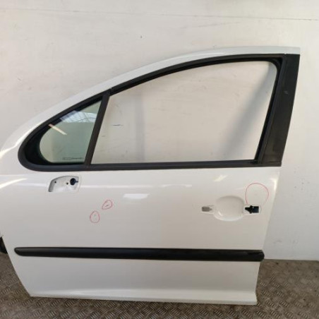Porte avant gauche PEUGEOT 207 Photo n°1