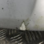 Pare choc avant OPEL ZAFIRA B