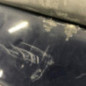 Pare choc arriere RENAULT CLIO 2