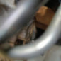 Moteur VOLKSWAGEN POLO 5