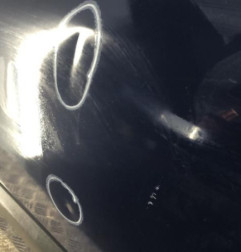Porte avant gauche RENAULT CLIO 2 Photo n°4