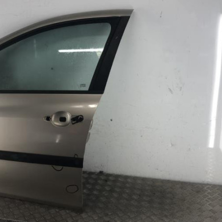 Porte avant gauche RENAULT CLIO 3